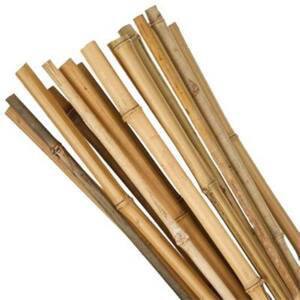 Tyč bamboo, průměr 1- 1,5 cm, délka 30 cm