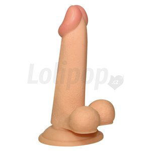 Dildo Plug N Ride