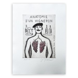 Jiří Slíva Anatomie d'un vigneron aut.t.,Jiří Slíva Anatomie d'un vigneron aut.t.