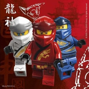 Ubrousky Lego Ninjago 33x33cm 16 ks