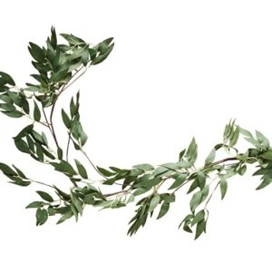 Girlanda z listů Ruscus 1,8 m