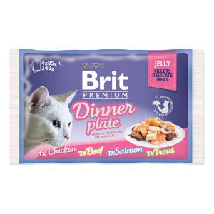 Brit Premium Cat D Fillets in Jelly Dinner Plate 340g