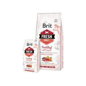 Brit Fresh Dog Beef & Pumpkin Puppy Large 12kg