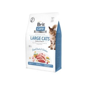 Brit Care Cat GF Large cats Power&Vitality 0,4kg