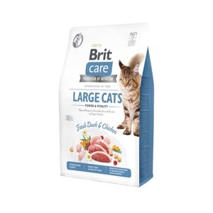 Brit Care Cat GF Large cats Power&Vitality 2kg