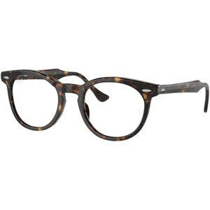 Ray-Ban Eagleeye RX5598 2012 - M (49)