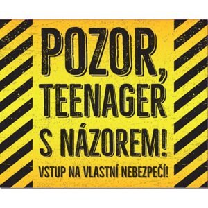 Cedulka na dveře - Teenager s názorem