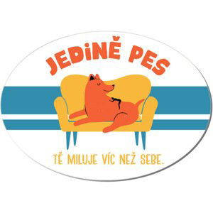 Cedulka na dveře - Pes tě miluje