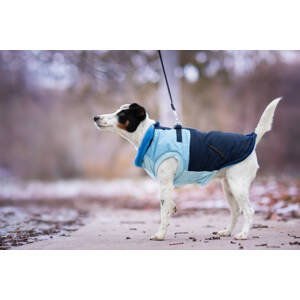Vsepropejska Aston obleček pro psa na zip Barva: Modrá, Délka zad (cm): 42, Obvod hrudníku: 46 - 56 cm