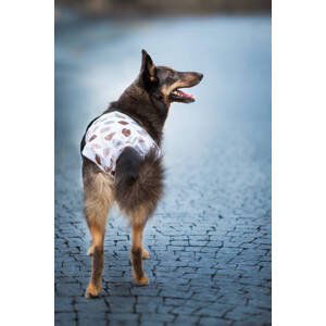 Lama hárací kalhotky pro psa Barva: Béžová, Obvod slabin (cm): 37 - 46