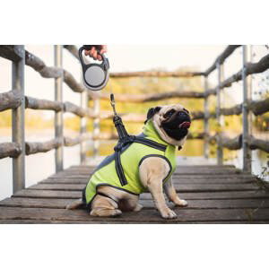 Vsepropejska Softshellová bunda pro psa s postrojem Barva: Šedo-zelená, Délka zad (cm): 41, Obvod hrudníku: 50 - 55 cm