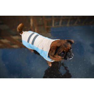 Vsepropejska Roy reflexní pláštěnka pro psa Barva: Modrá, Délka zad (cm): 29, Obvod hrudníku: 34 – 40 cm