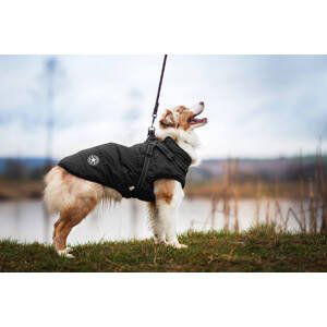 Vsepropejska Achar zimní bunda pro psa s postrojem Barva: Černá, Délka zad (cm): 56, Obvod hrudníku: 75 - 79 cm