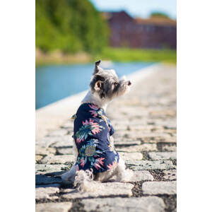 Vsepropejska Zyra plážová košile pro psa Barva: Modrá, Délka zad (cm): 24, Obvod hrudníku: 32 - 34 cm