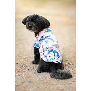 Vsepropejska Zyra plážová košile pro psa Barva: Růžová, Délka zad (cm): 19, Obvod hrudníku: 26 - 28 cm