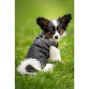 Vsepropejska Terenc obleček pro psa na zip Barva: Černá, Délka zad (cm): 30, Obvod hrudníku: 37 - 44 cm