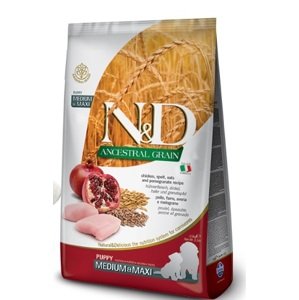 N&D dog LG PUPPY MEDIUM/MAXI CHICKEN/POMEGRANATE - 12kg