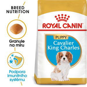 ROYAL CANIN Cavalier King Charles Puppy - granule pro štěně kavalír king charles španěl - 1,5kg