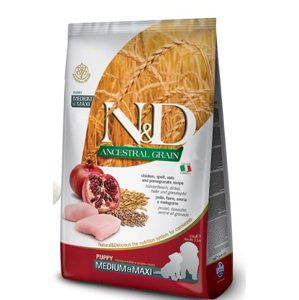 N&D dog LG PUPPY MEDIUM/MAXI CHICKEN/POMEGRANATE - 2,5kg