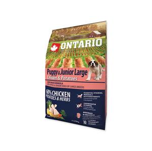 ONTARIO dog JUNIOR LARGE chicken - 2.25kg