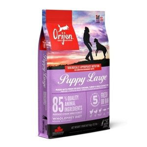 ORIJEN dog Puppy Large - 11,4kg