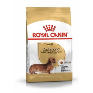 Royal Canin Dachshund Adult - granule pro dospělého jezevčíka - 500g