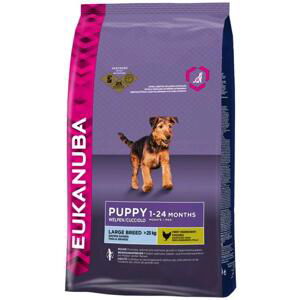 Eukanuba PUPPY/JUNIOR large - 15kg