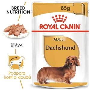 Royal Canin Dachshund Loaf - kapsička s paštikou pro jezevčíka - 85g