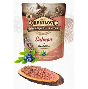 CARNILOVE dog  kapsa PUPPY salmon/blueberries - 300g