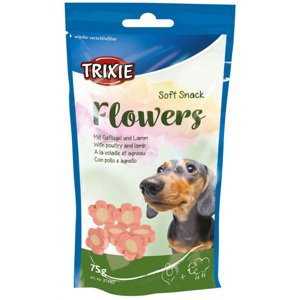 Pochoutka  dog FLOWERS (trixie) - 75g