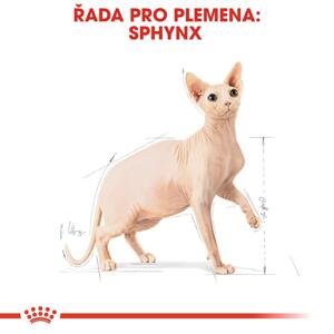 Royal Canin Sphynx Adult - granule pro sphynx kočky - 10kg