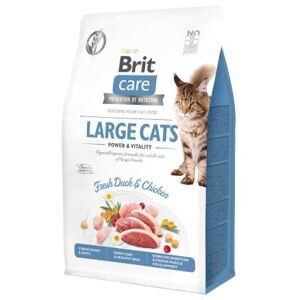 BRIT CARE cat GF LARGE cats power/vitality - 2kg