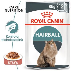 RC cat  kapsa   HAIRBALL care   v sosu - 85g