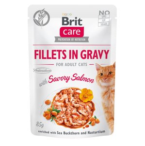 BRIT CARE cat kapsa ADULT  SAVORY salmon - 24 x 85g