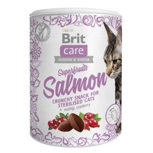 BRIT CARE cat SNACK  SUPERFRUITS SALMON - 100g