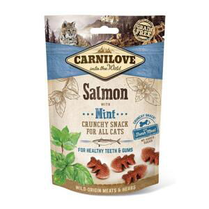 CARNILOVE cat SALMON/mint - 50g