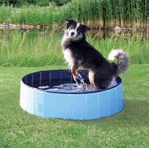 Trixie dog BAZÉN pro psy / modrý - 160x30cm