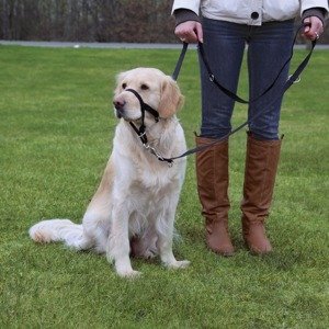 Dog  TOP TRAINER (trixie) - XL/kurz (viz. popis produktu)