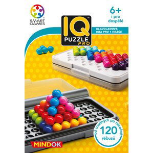 Hlavolamová hra IQ Puzzle Pro