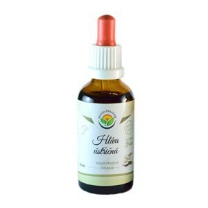 Salvia Paradise Hlíva ústřičná - tinktura bez ethanolu (50 ml)