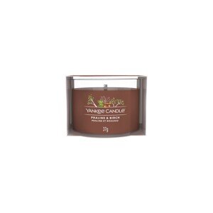 Yankee Candle Votivní svíčka ve skle Praline & Birch 37 g