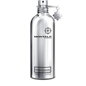 Montale Embruns d`Essaouira - EDP - TESTER 100 ml