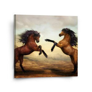 Obraz Vzpínající se koně - 110x110 cm