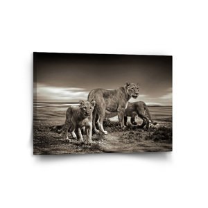 Obraz Lvice a lvíčata - 120x80 cm