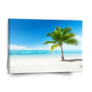 Obraz Palma na pláži - 150x110 cm