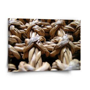 Obraz Banánové listí - 150x110 cm