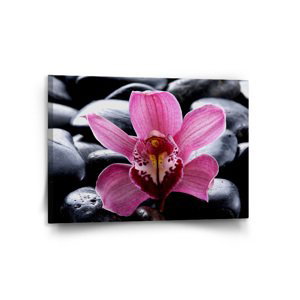 Obraz Růžová orchidea - 120x80 cm