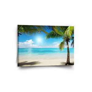 Obraz Pláž s palmami - 90x60 cm