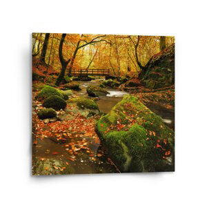 Obraz Most v lese - 110x110 cm