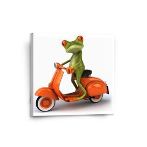 Obraz Žába na motorce - 50x50 cm